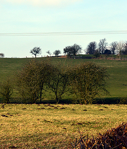 View towards the site of The Stonehouse from Goose Green February 2013